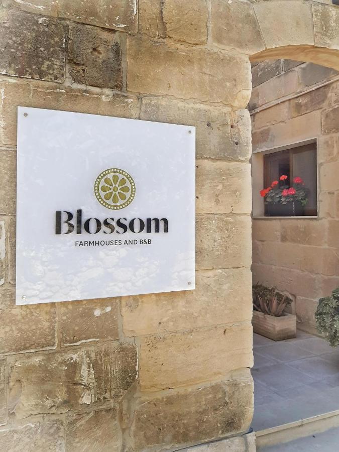 Blossom Farmhouses Għasri エクステリア 写真